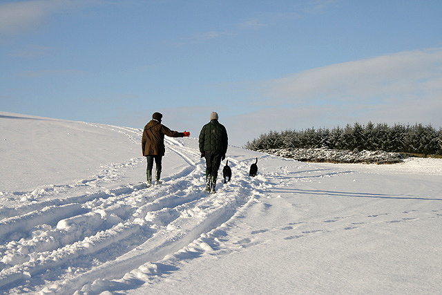 two people walking up a snowy field, with 2 dogs