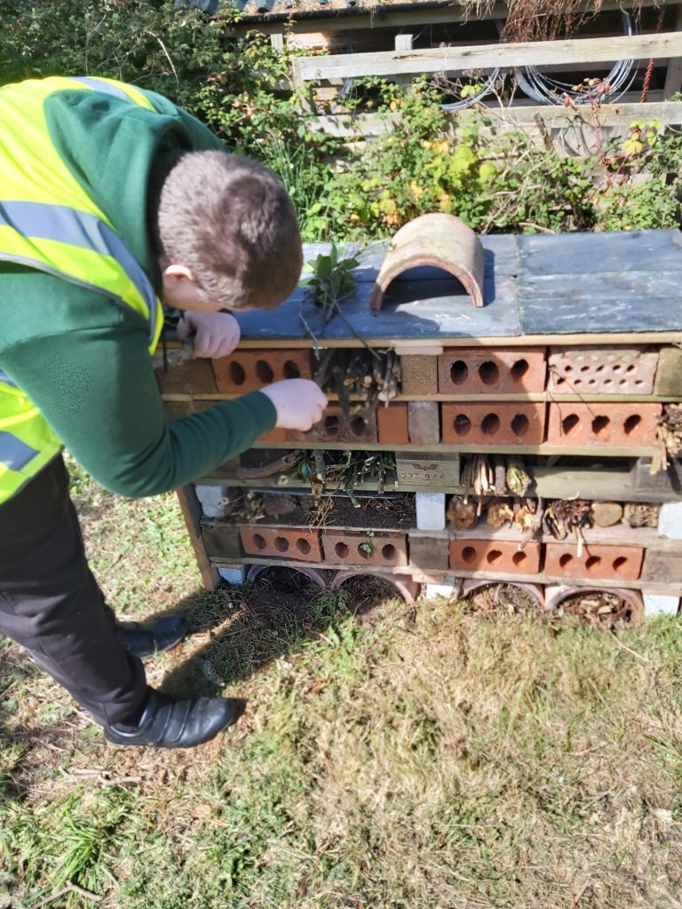 putting sticks and straw into the bug hotel