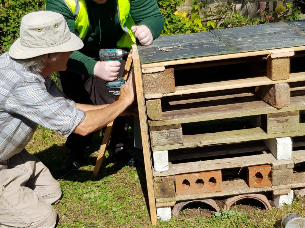 volunteers putting a bug hotel together at Polventon